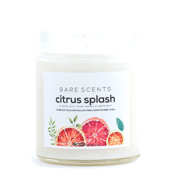 provence lavender