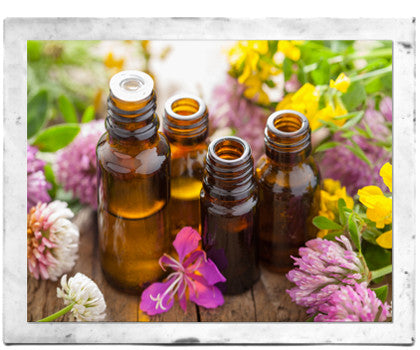 How do essential oil and fragrance oil differ and why does it matter? –  bare-soaps